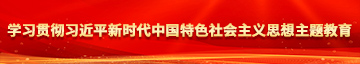 小穴逼学习贯彻习近平新时代中国特色社会主义思想主题教育